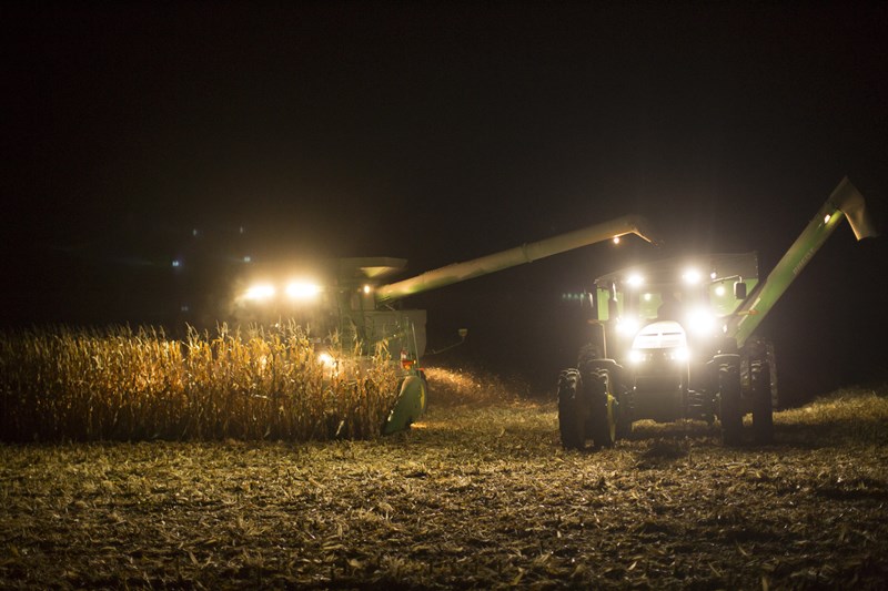 8 Tips for Corn Harvest Success AgWeb